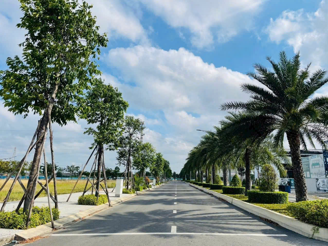 King Hill Bến Lức: Đất nền sổ hồng, giá nhỉnh 1.8 tỷ - Cơ hội vàng cạnh Sài Gòn!